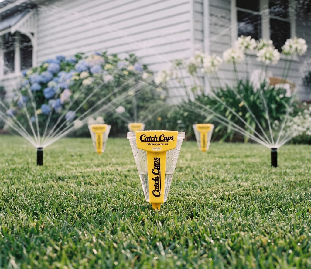 A Catch Cup in a front lawn with pop-up sprinklers spraying either side