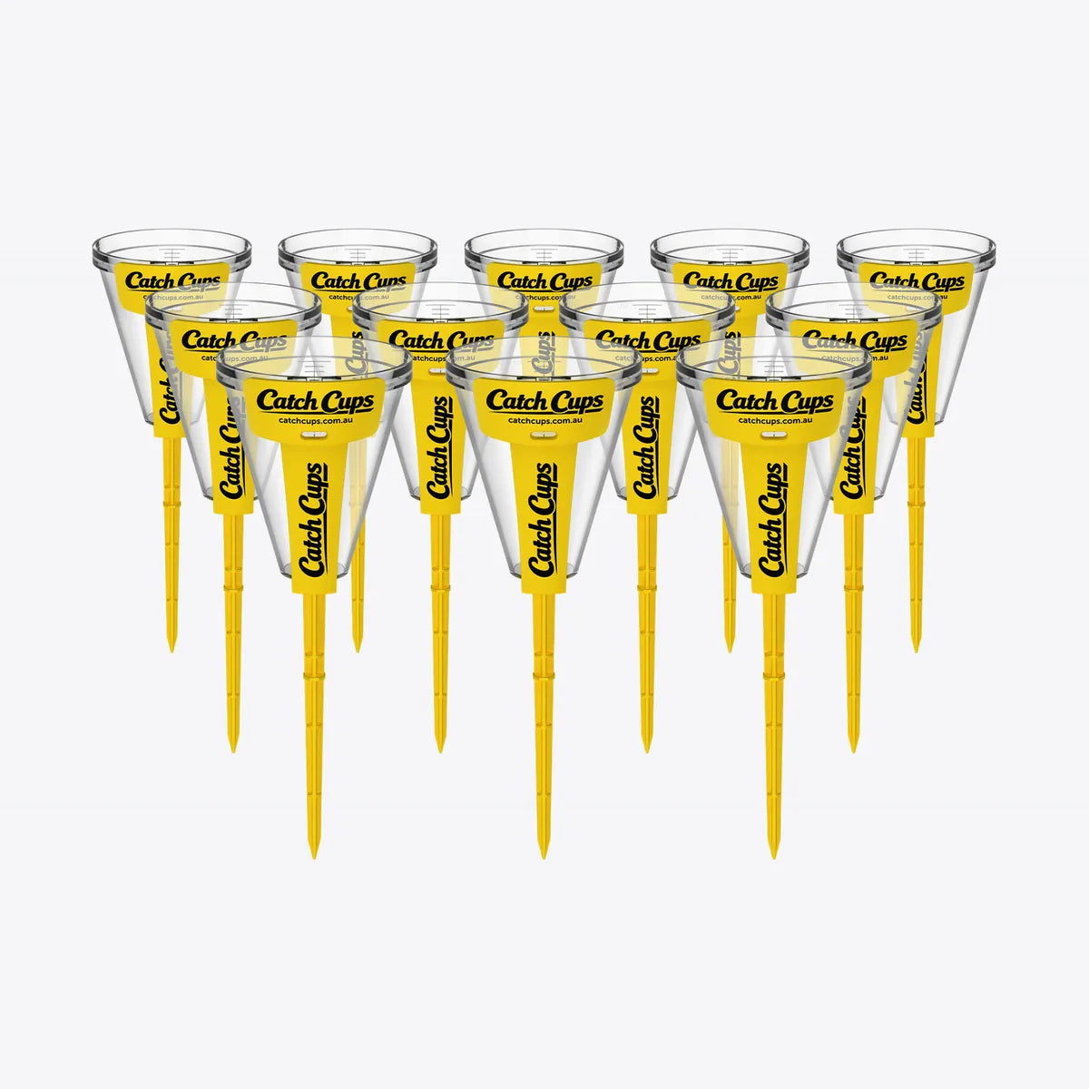 12 Catch Cups standing in a pack on a light grey studio background