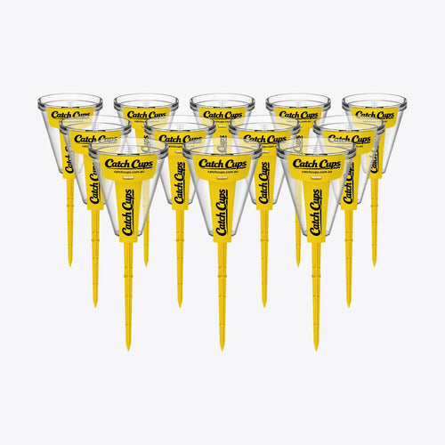 12 Catch Cups standing in a pack on a light grey studio background