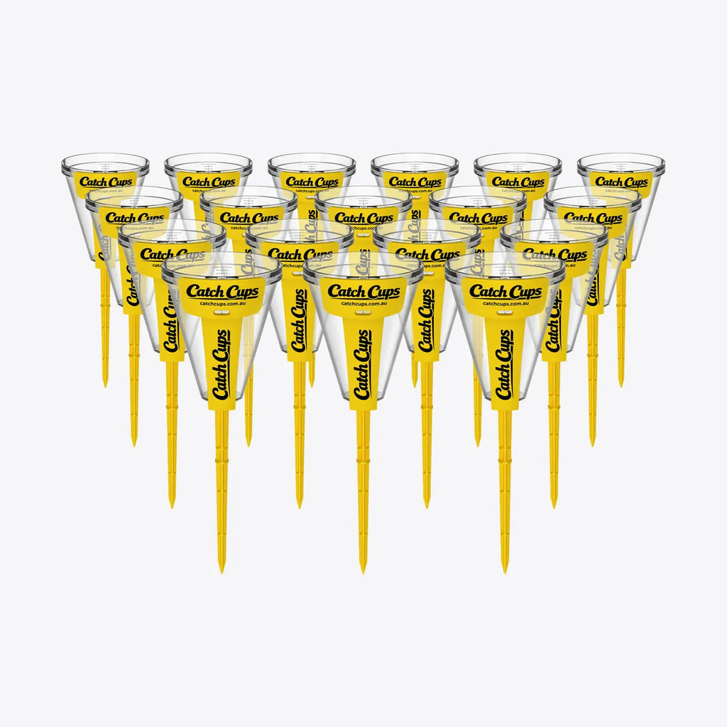 18 Catch Cups standing in a pack on a light grey studio background