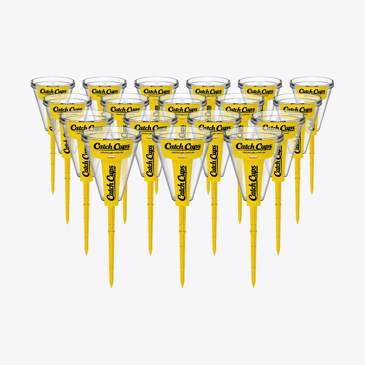 18 Catch Cups standing in a pack on a light grey studio background