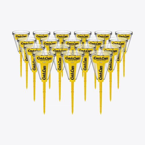 18 Catch Cups standing in a pack on a light grey studio background