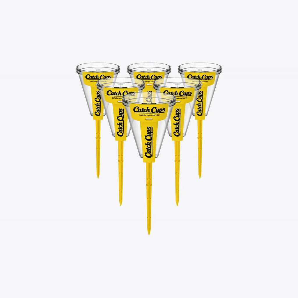 6 Catch Cups standing in a pack on a light grey studio background
