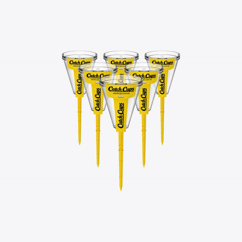 6 Catch Cups standing in a pack on a light grey studio background